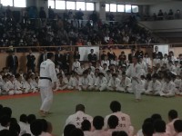 �p�O�l�Y�t